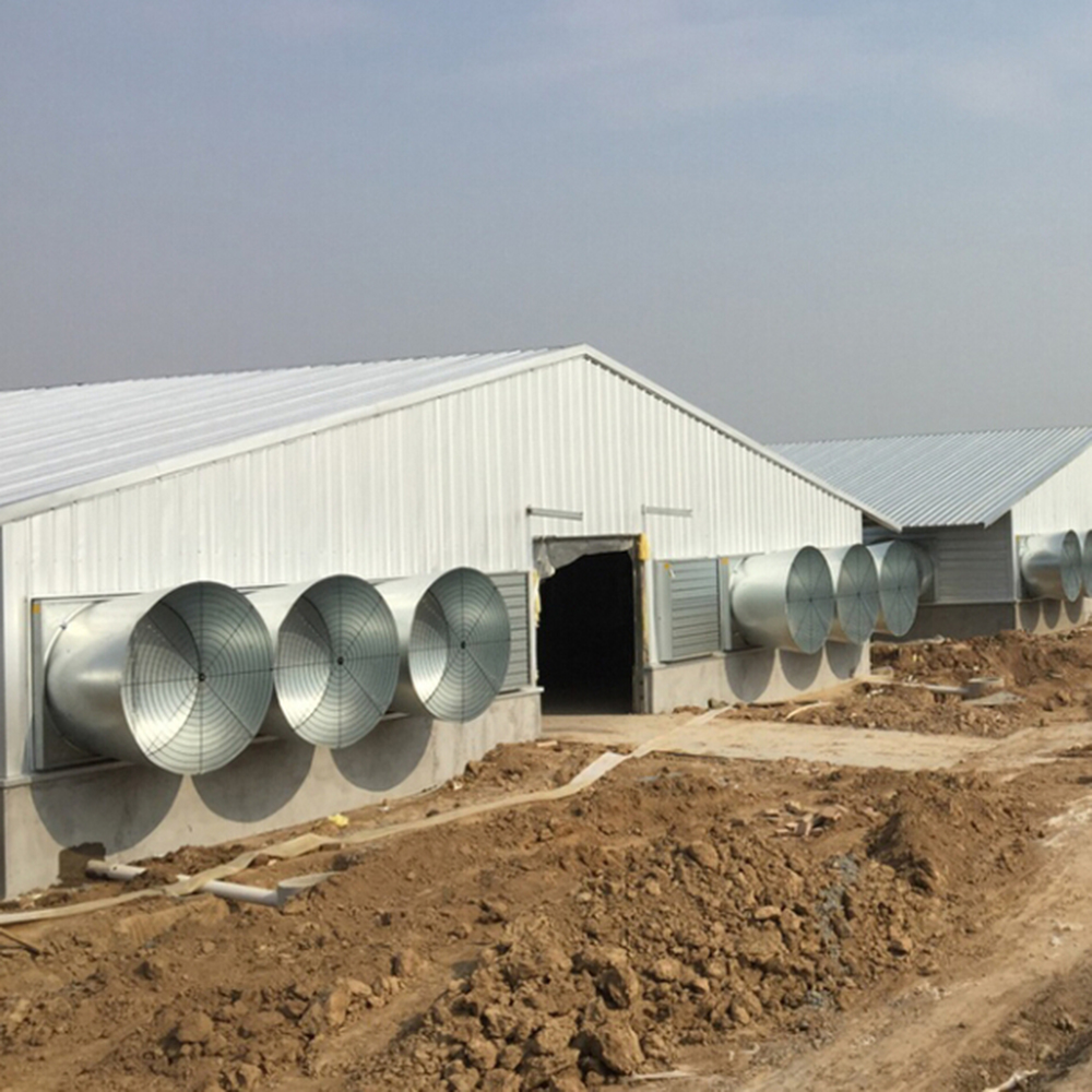 New-design-steel-poultry-house